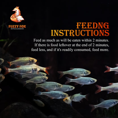 Early Bites Fish Food for Fingerlings & Fry 700g