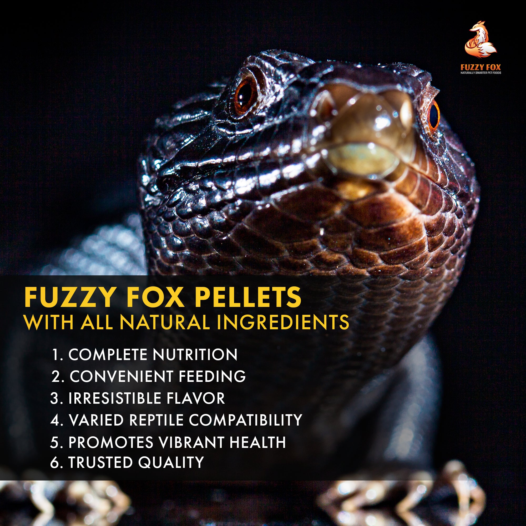 Buy Reptile Pellets 400g Lizard Food Fuzzy Fox Naturally Smarter Pet Foods