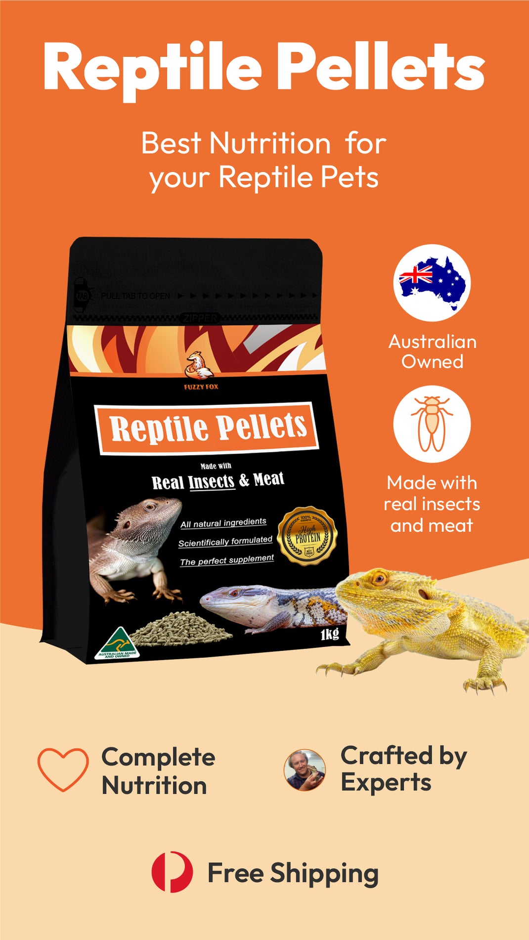 Bearded dragon beside a bowl of food